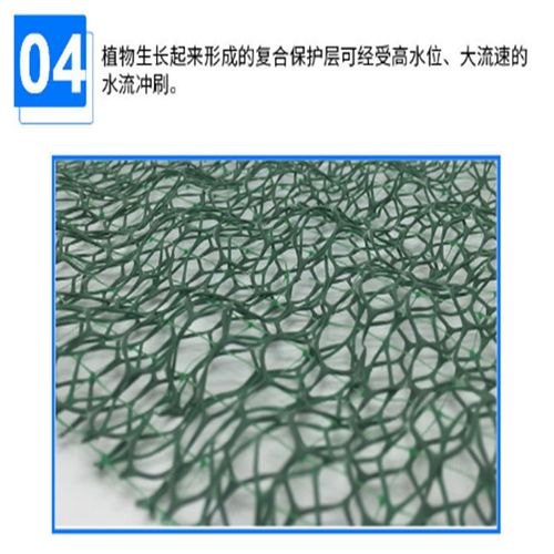 三维植草护坡技术 三维土工网垫与植草格的应用与优势解析